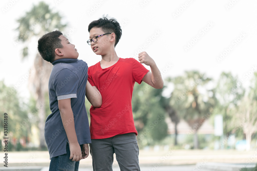 Fighting Bullying